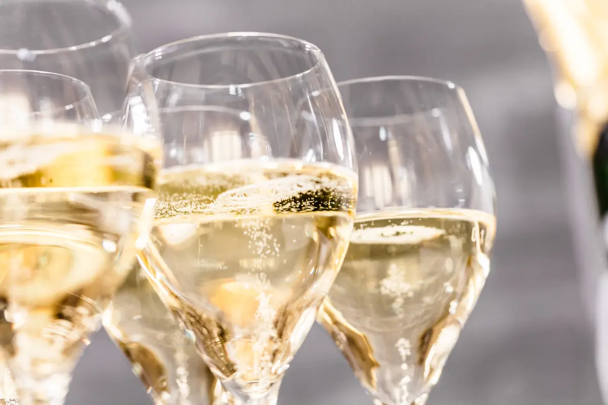 sekt_prosecco_champagner_gefuellte_glaeser sekt_prosecco_champagner_gefuellte_glaeser