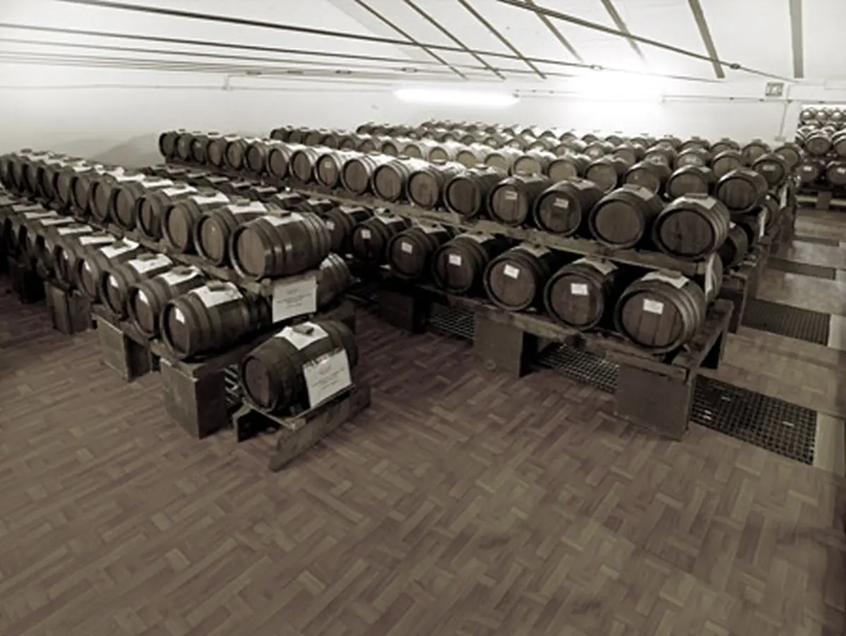 Balsamico aus Modena Balsamico aus Modena