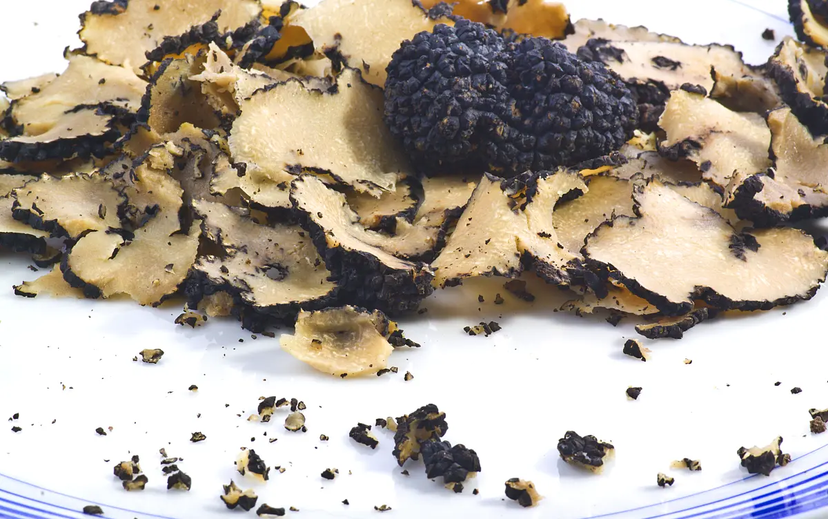 Trueffel_schwarz_scheiben Trueffel_schwarz_scheiben