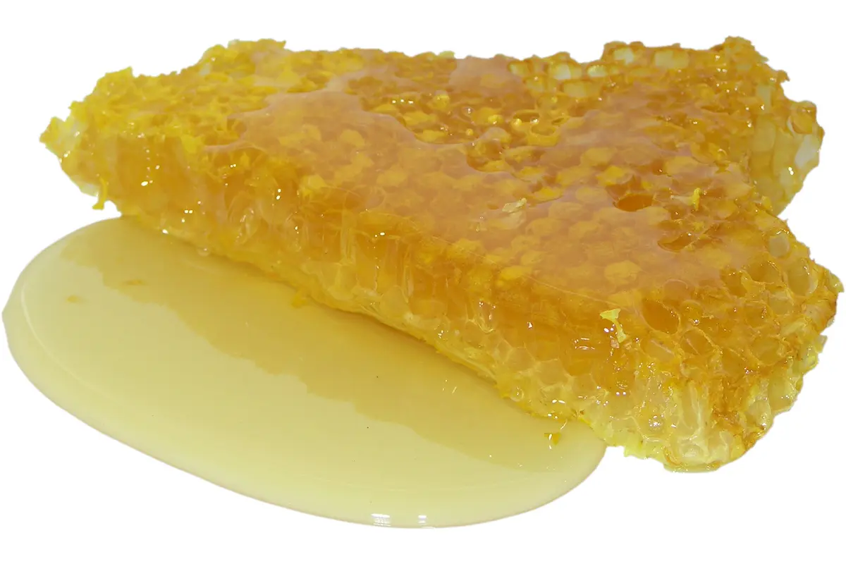 honig_waabe honig_waabe