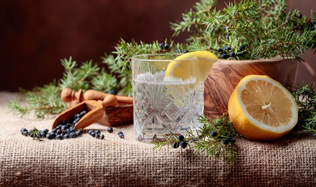 wacholder_gin_tonic_zitrone_zweig wacholder_gin_tonic_zitrone_zweig