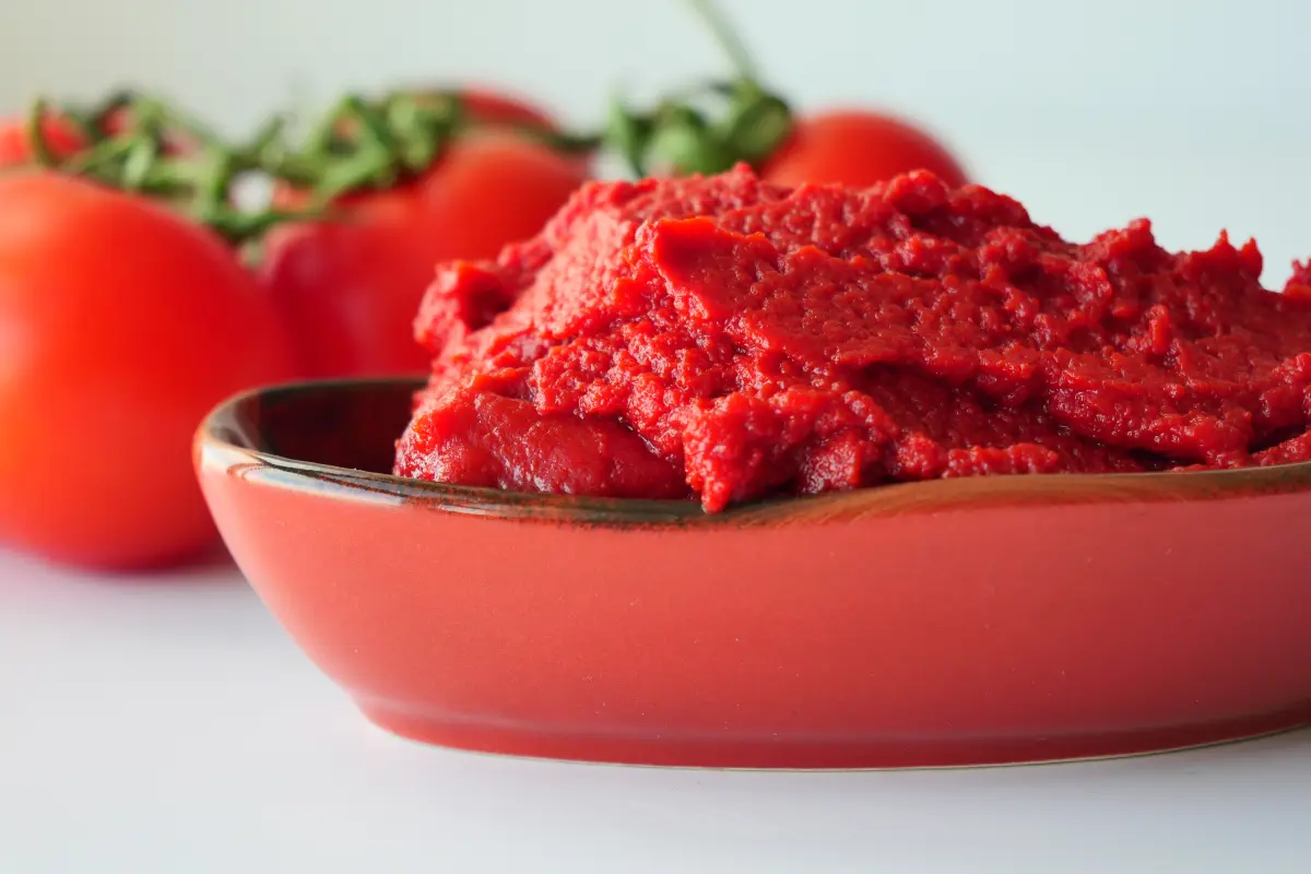 tomatenmark_schuessel_oval_fleischtomaten tomatenmark_schuessel_oval_fleischtomaten