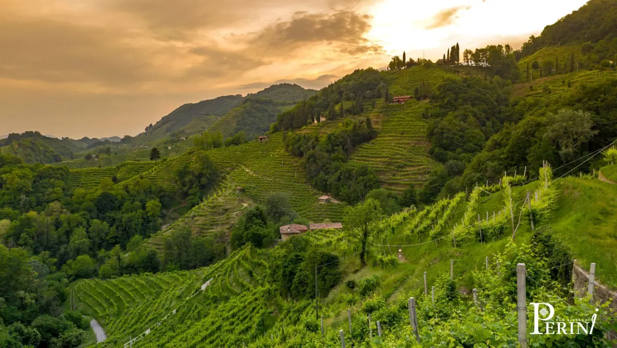 villa_perini_weinberge_conegliano villa_perini_weinberge_conegliano