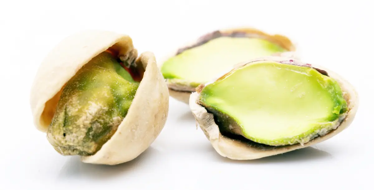 pistazie_geoeffnet_nahaufnahme pistazie_geoeffnet_nahaufnahme