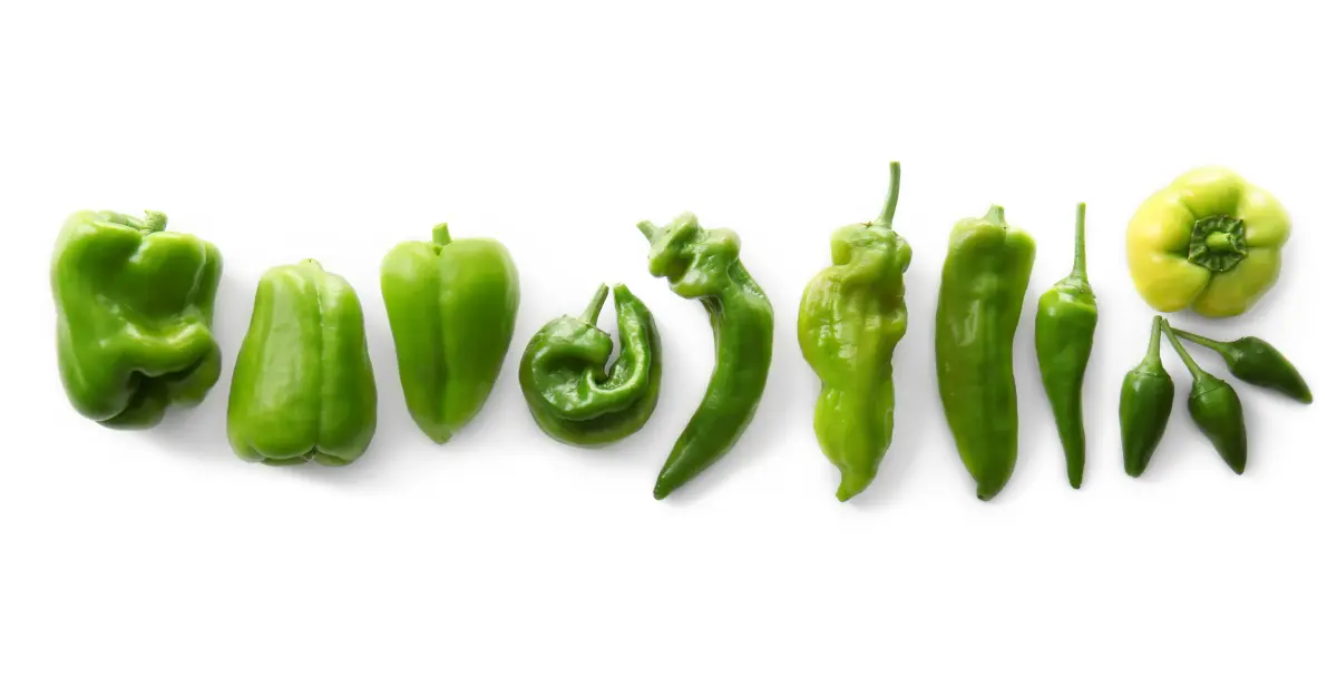 gruene_Pfefferschoten_Paprika_uebersicht_auswahl gruene_Pfefferschoten_Paprika_uebersicht_auswahl