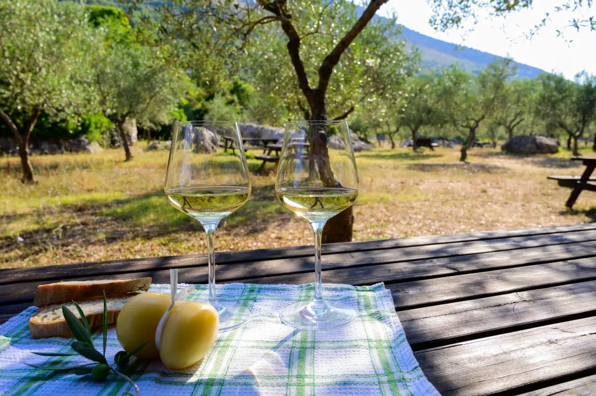 trebbiano_abruzzo_natur_sommerpicknick_weisswein trebbiano_abruzzo_natur_sommerpicknick_weisswein