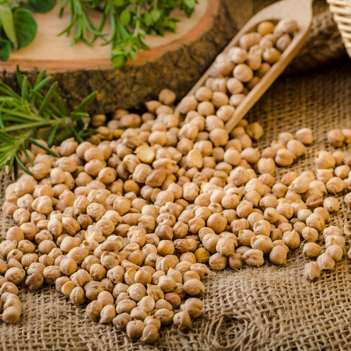 Kichererbsen getrocknet