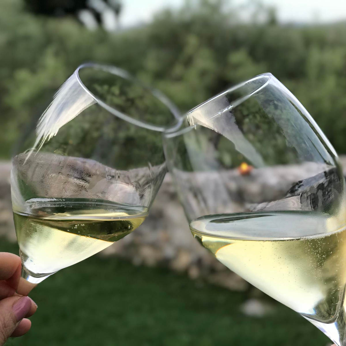 Mit Weißwein anstoßen