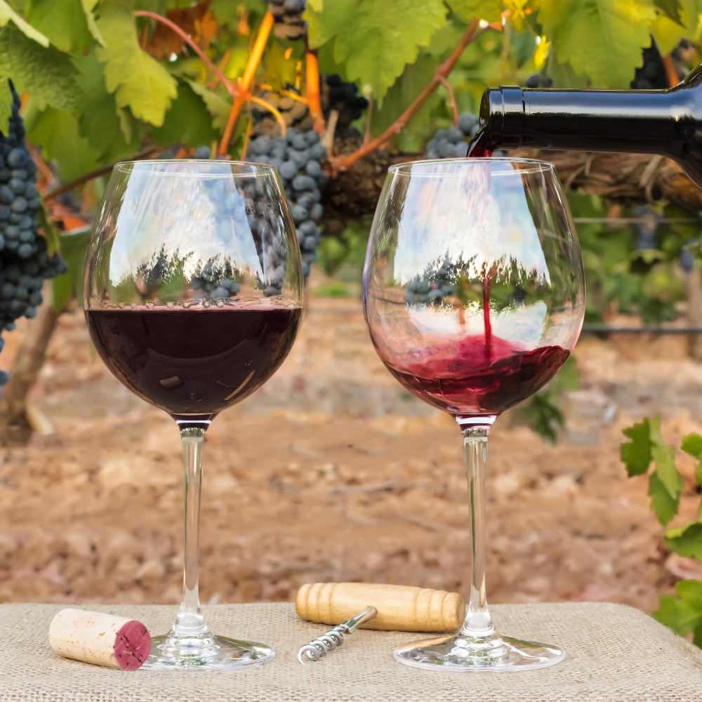 Herxheim am Berg – Dornfelder Rotwein Feinherb – Bild 2