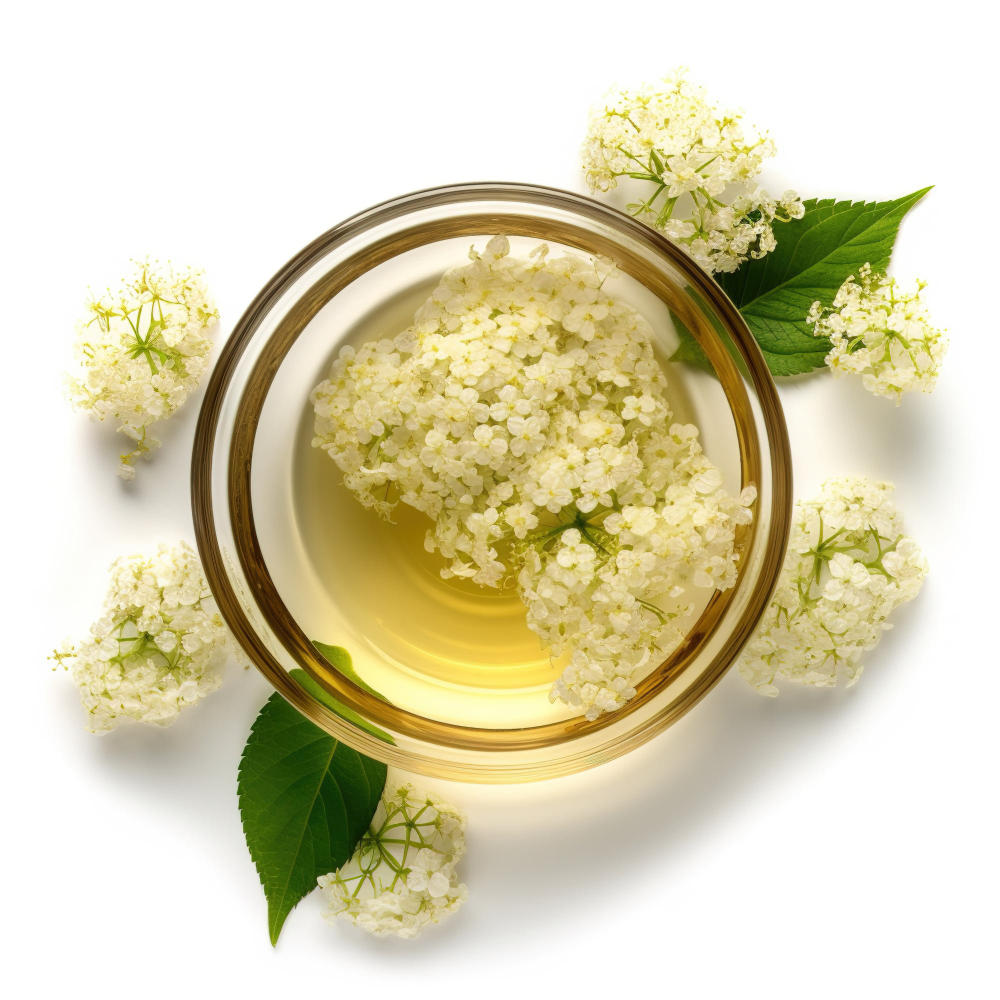 Frischer Cocktail mit Holunderblüten